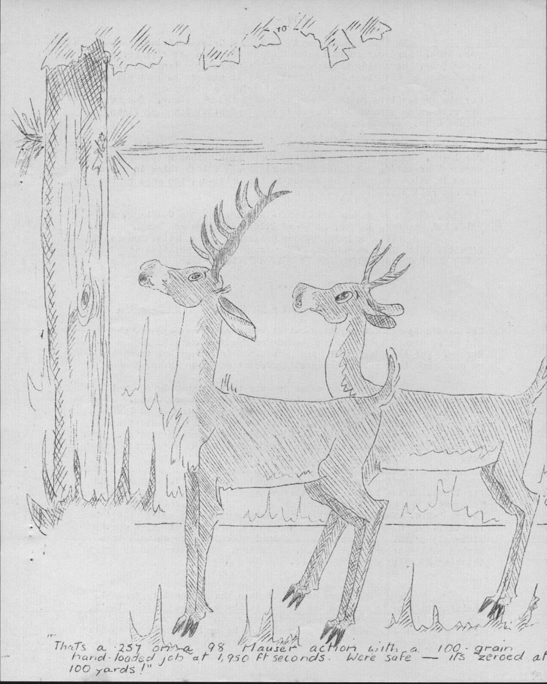 Scanned journal page 2 of 3: Ruamahanga River Shooting Trip