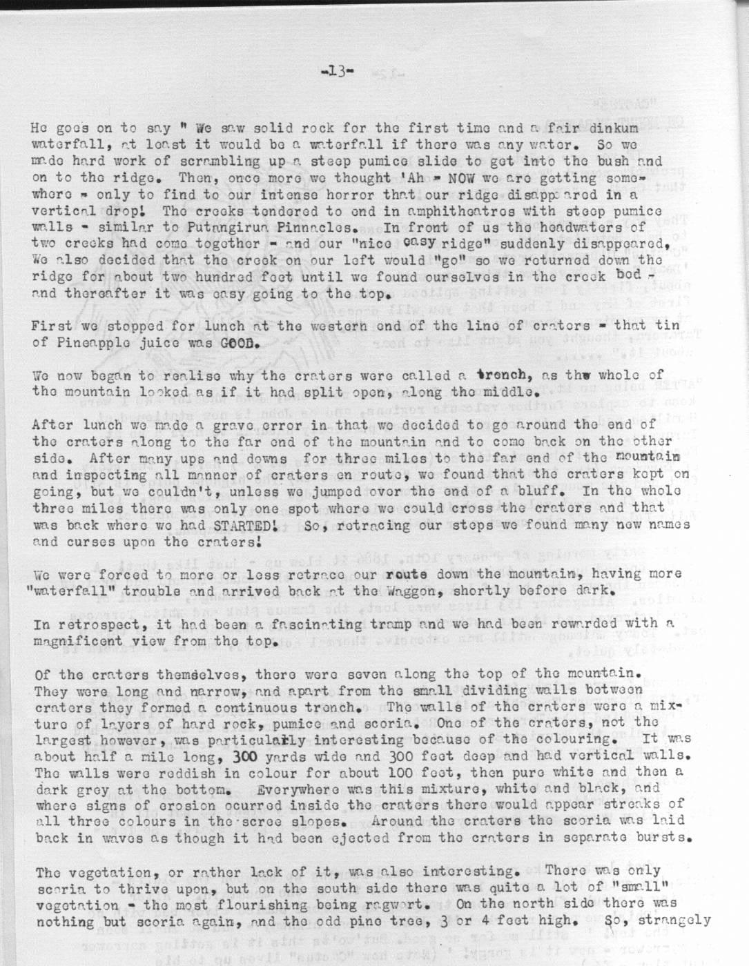Scanned journal page 2 of 3: Cactus on Mount Tarawera