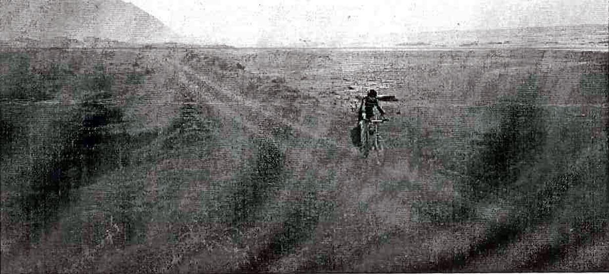 Phil Kendon