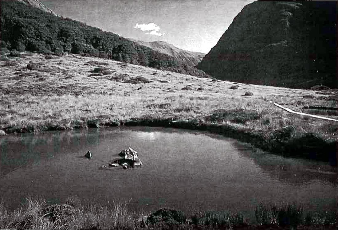Hawdon/Edwards via Tarn Col