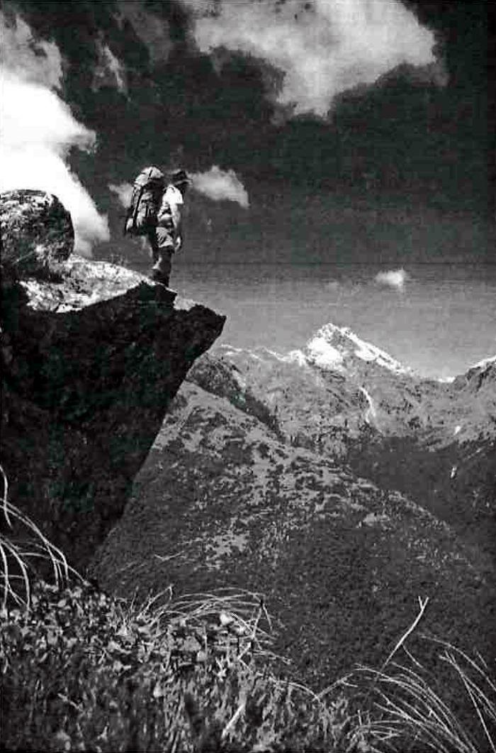 Photo from Adventuring into the Heart of Fiordland
