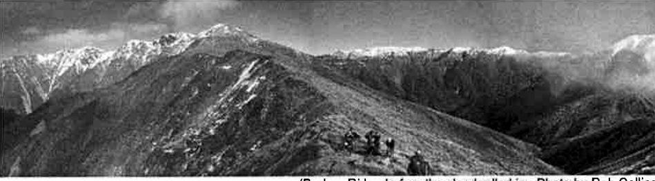 Photo from All roads may lead to Rome ... but not all streams lead to Waterfall Hut