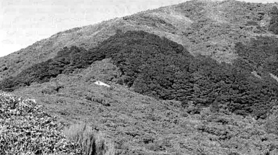 Waiopehu Peak, and Waiopehu Hut in middle left.