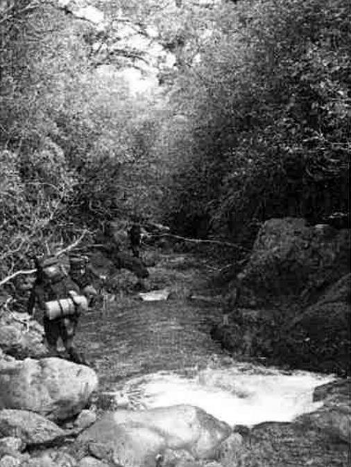 Photo from Aorangi Forest Park (Wairarapa): Medium Tramp - Mangatoetoe-Washpool 18-20 August