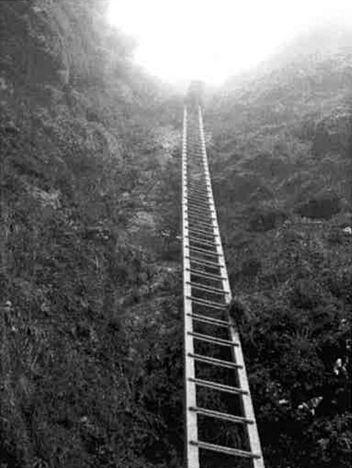Photo from Tararua Southern Main Range F tramp, 8-10 September