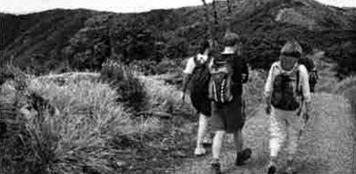 Photo from Mount Climie Easy/Medium Day Walk