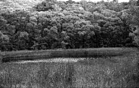 Photo from Frog Tarn – Fit Tramp: Aorangi FP