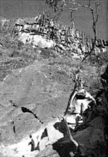 Photo from Mt Beerwah, Brisbane, Australia