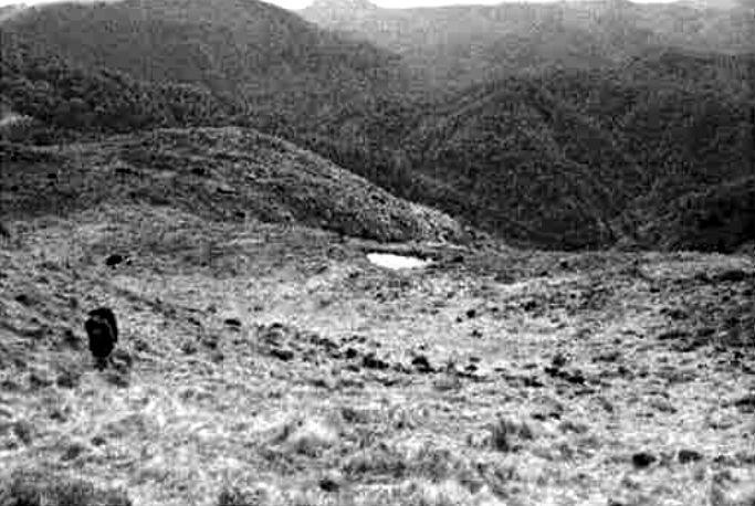 Photo from Iron Bark Hut Easy Tramp