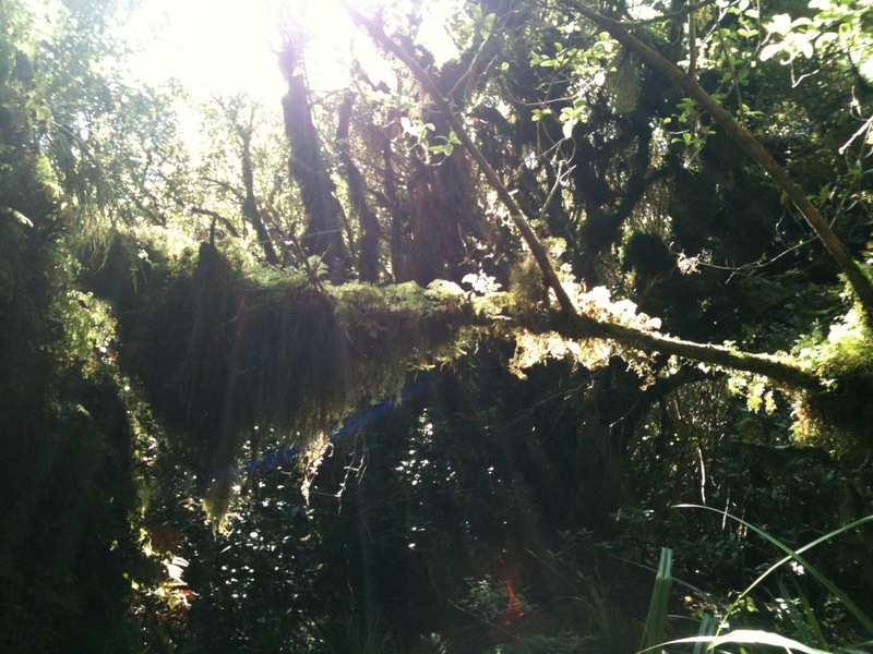 Photo from Renata Hut via Pukeatua