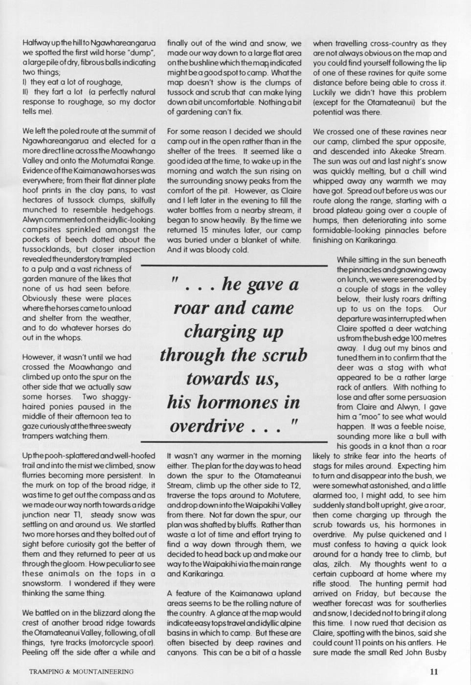 Scanned journal page 2 of 4: Mooing Donks and Wild Horse Pooh