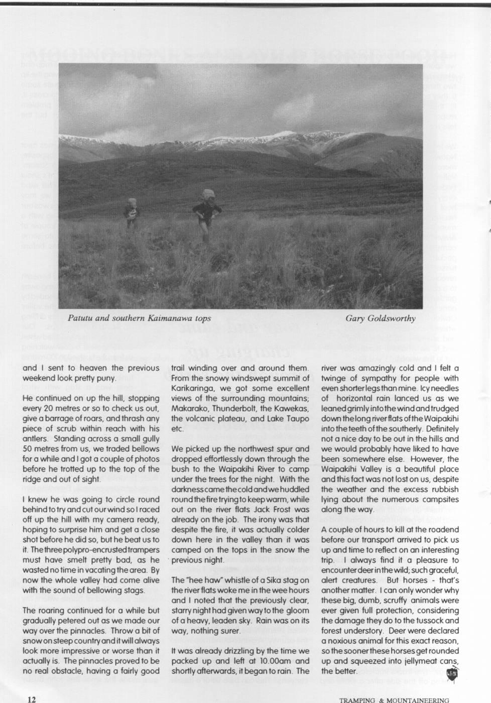 Scanned journal page 3 of 4: Mooing Donks and Wild Horse Pooh