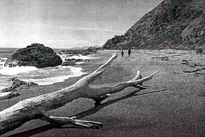 The Unknown Coast: Mākara - Titahi Bay day trip