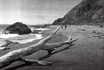 On the beach south of Open Bay